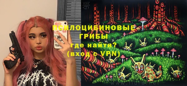 прущая мука Няндома