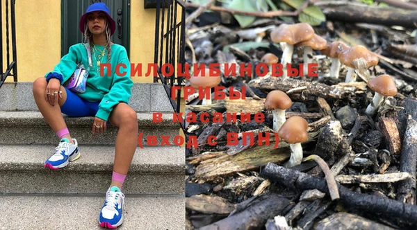 прущая мука Няндома