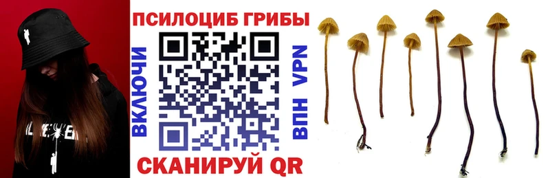 мориарти формула  Полесск  Псилоцибиновые грибы Psilocybine cubensis 